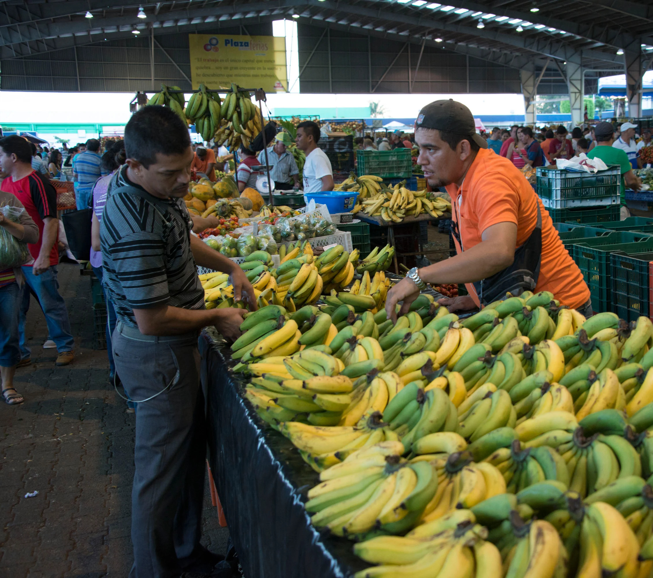 banana-trade
