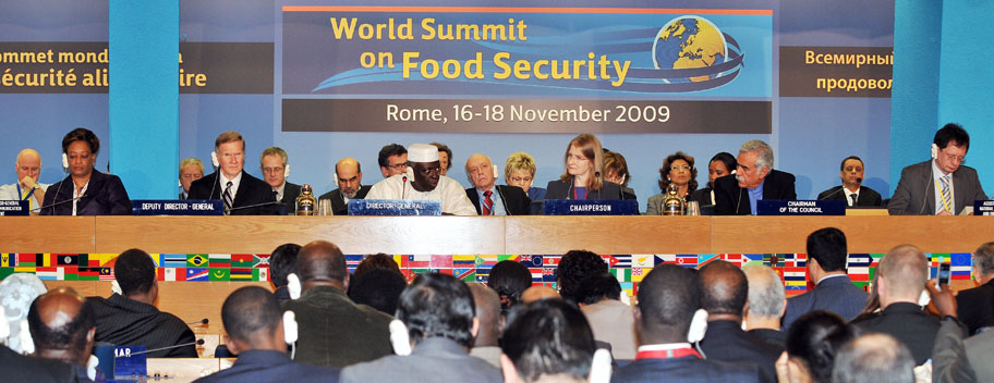 World Summit on Food Security