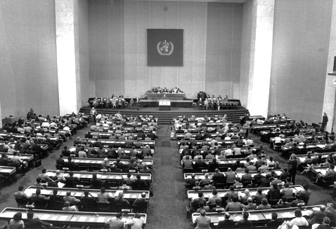 Foundation of the World Health Organization (WHO)