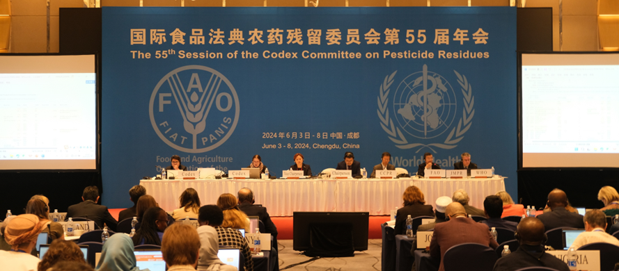 CCPR55 / A productive and efficient committee with sense of warm collaboration and mutual respect