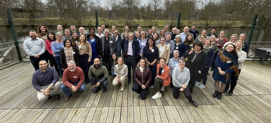 Experts meeting assess progress in evaluating chemical contaminants in animal feed