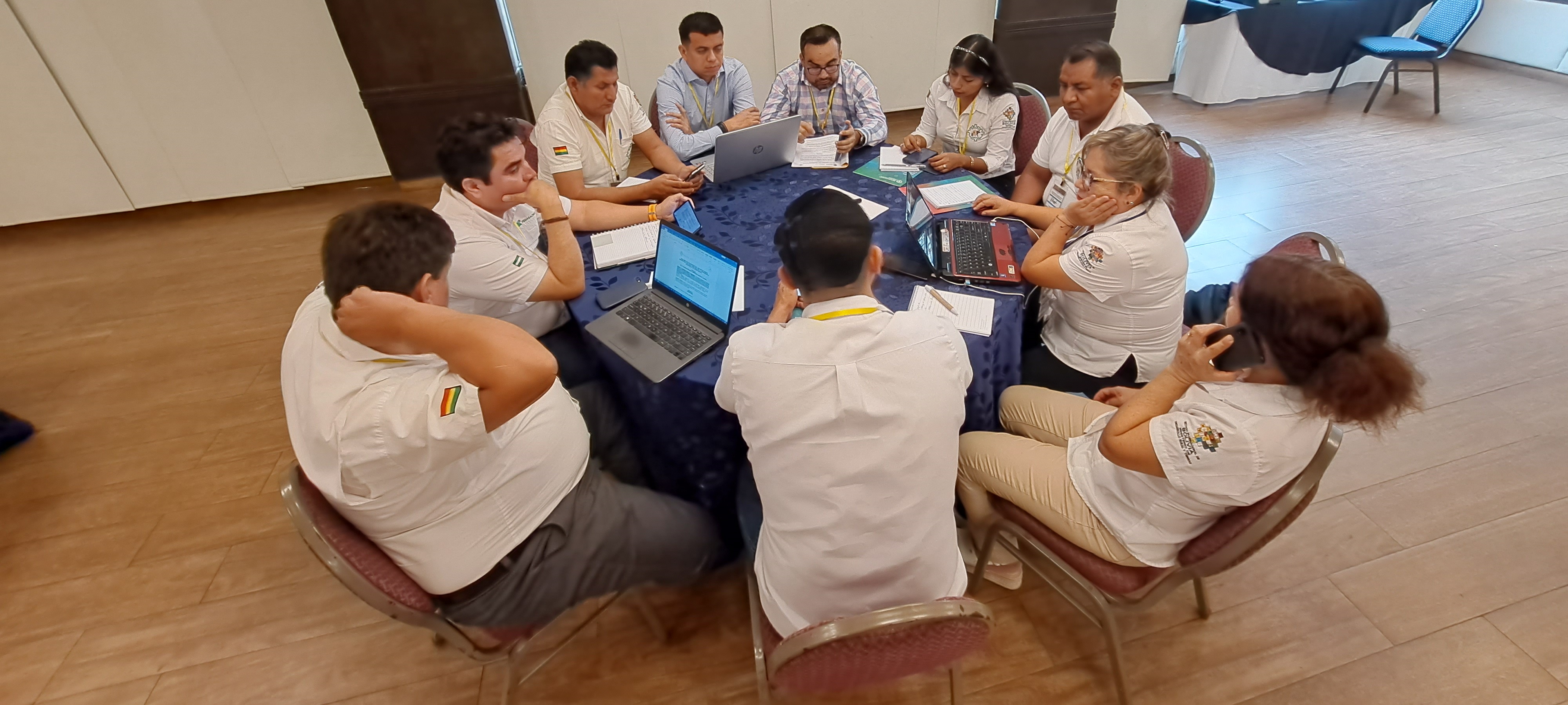 ACT in the Plurinational State of Bolivia / Agreement to establish a sectoral AMR committee