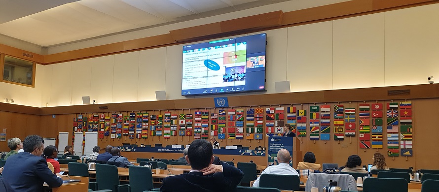 Codex Secretariat participates to the Global Forum for Animal Feed and Feed Regulators