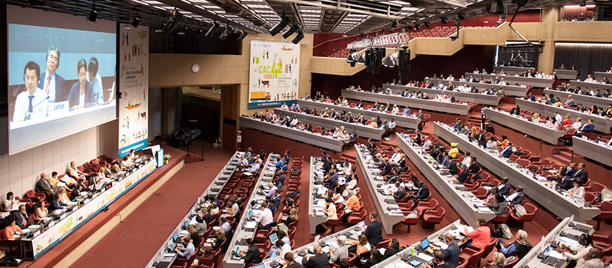Live event / Working with Observers in Codex - 21 October, 2022 (13:00-15:00 CEST)