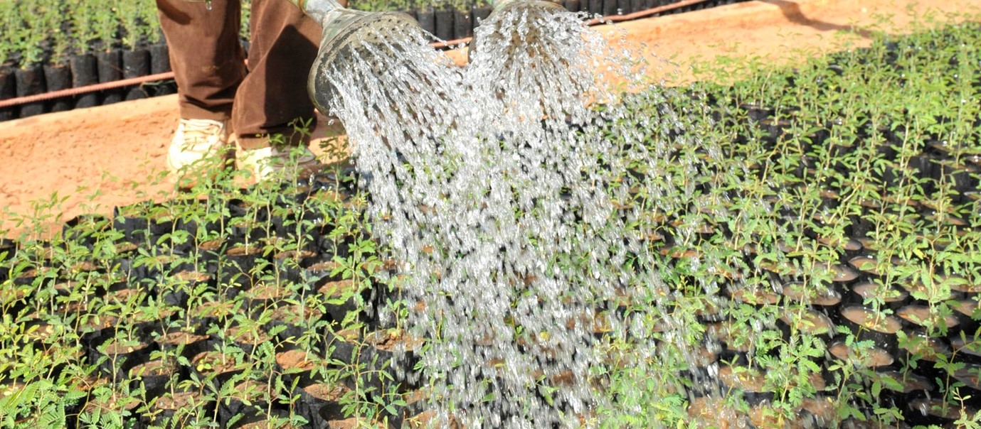 World Food Day 2023 / Codex work on water contributes to safer food