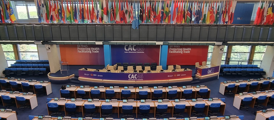 CAC46 / A time to celebrate – and to consider key new texts 