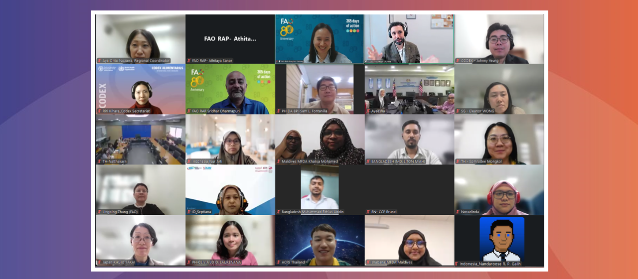 Regional workshop strengthens use of the Codex online commenting system in Asia