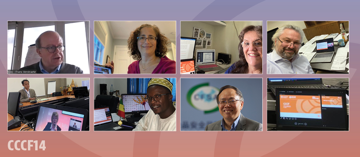 CCCF14 / Taking part virtually in Codex meetings