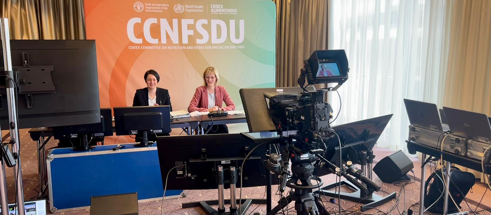 CCNFSDU / willingness to complete work ensures follow-up formula text adopted