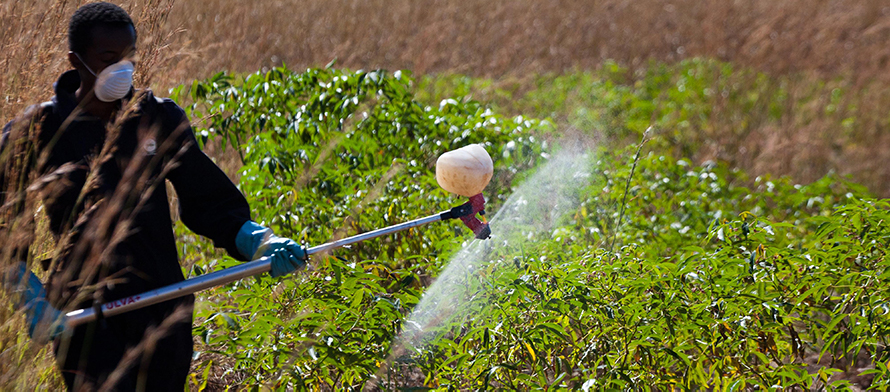 CCPR52 / committee gets underway strengthening cooperation in pesticide regulation