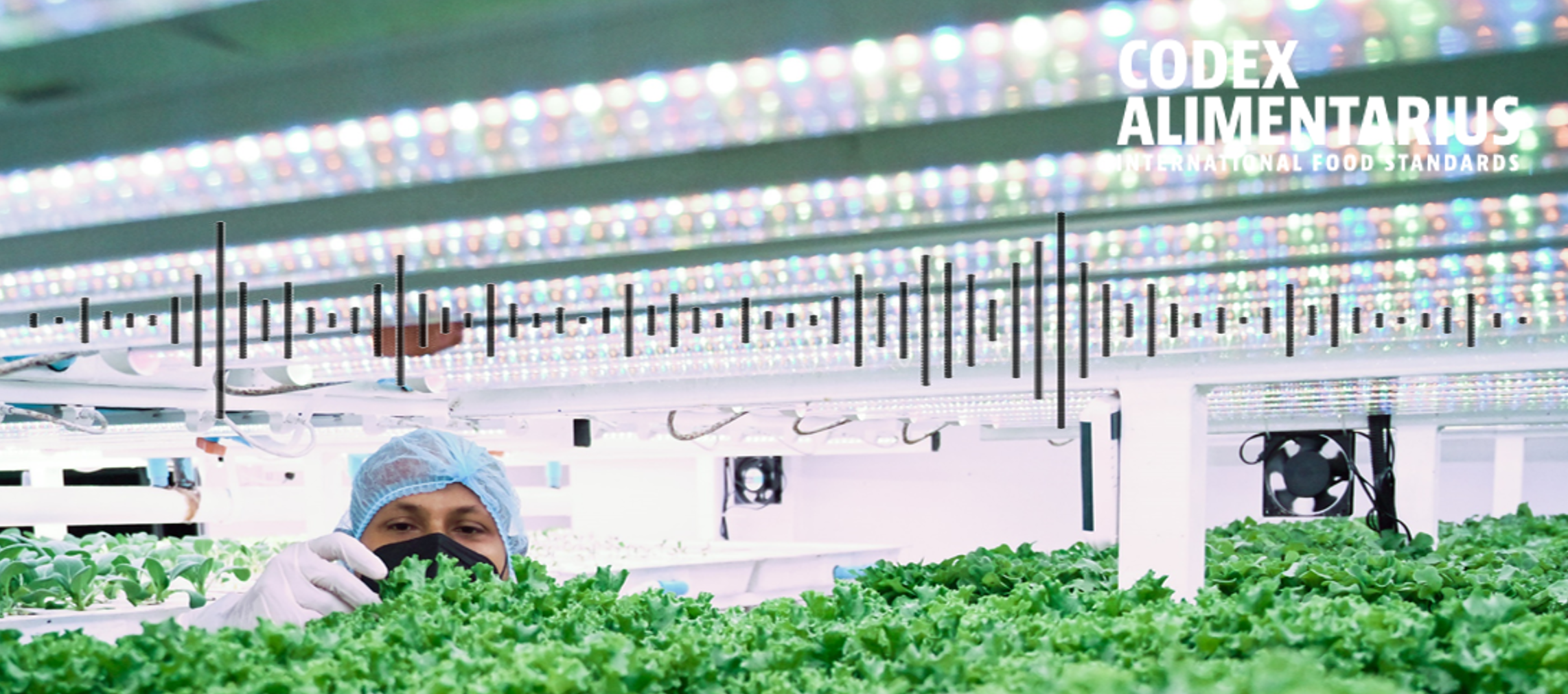 Codex Podcast / Are we prepared for the future of food safety?