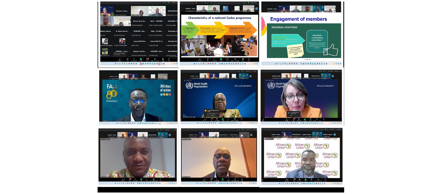 CTF / Continental webinar showcases best practices in Africa and impact of Codex Trust Fund support