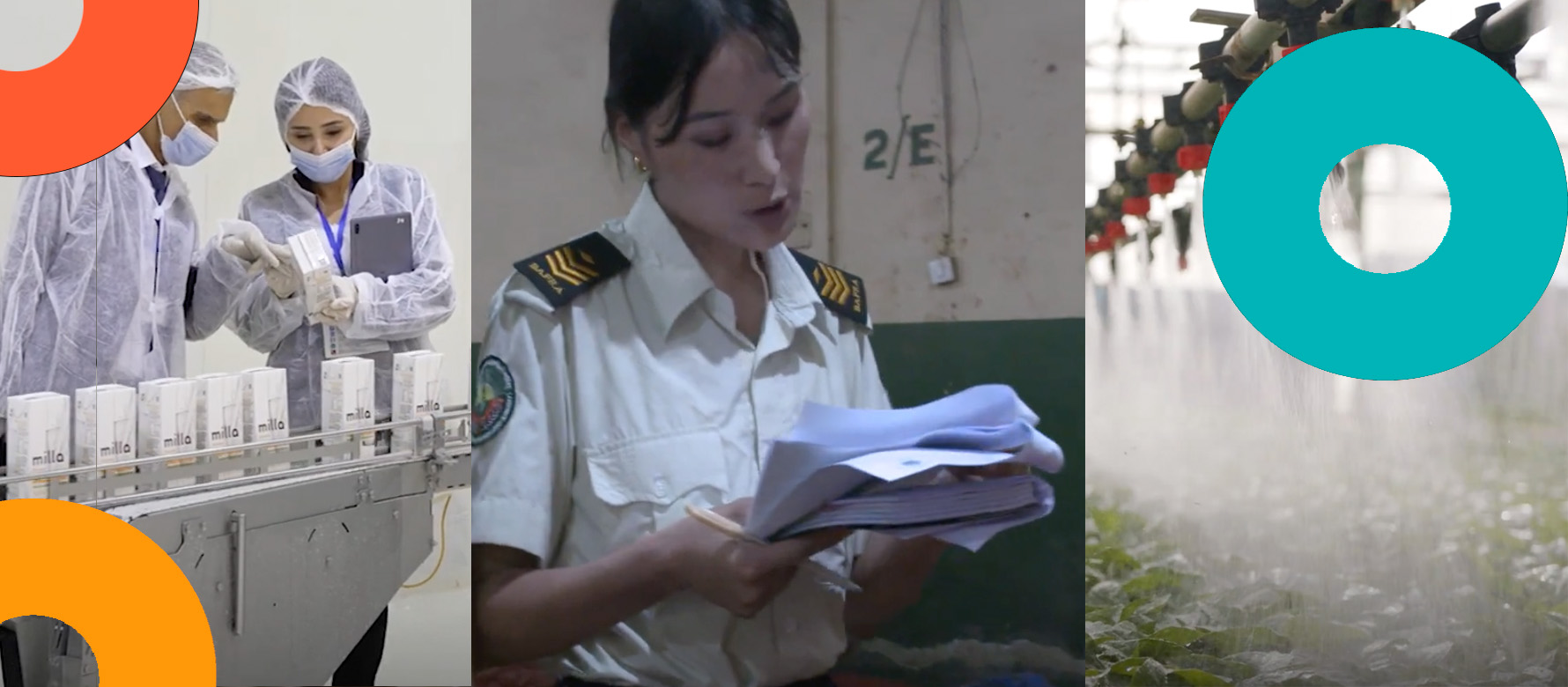 New videos demonstrate the impacts of the Codex Trust Fund