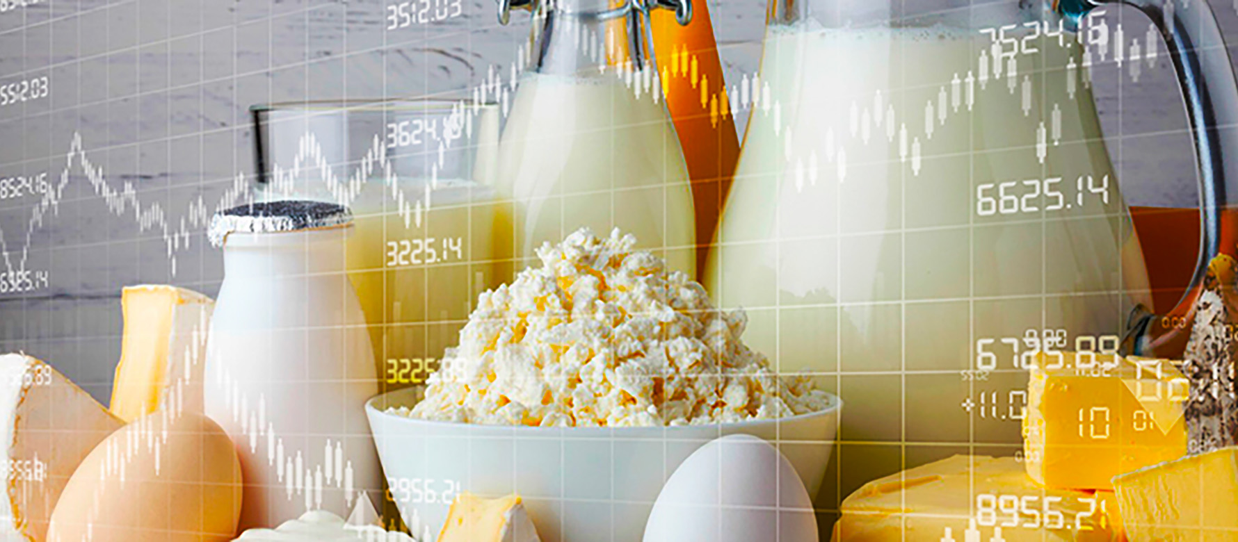 Codex and IDF webinar to discuss use and impact of the General Standard for the Use of Dairy Terms