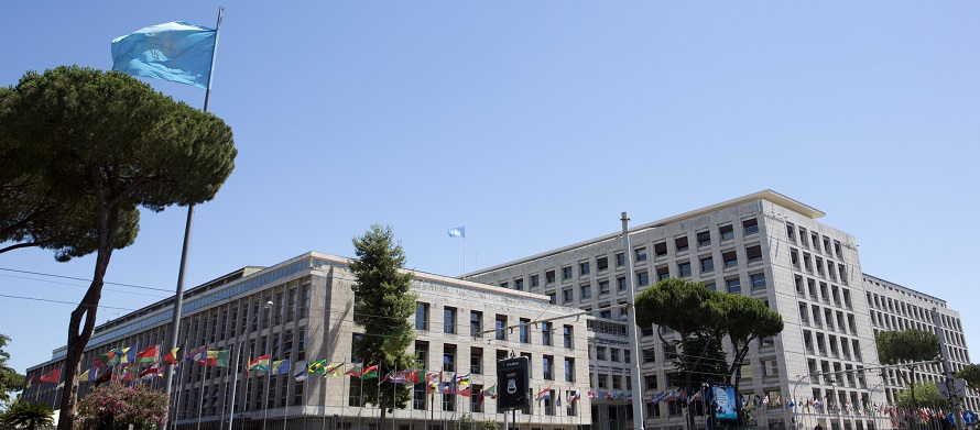 FAO Conference adopts draft resolution for a World Food Safety Day