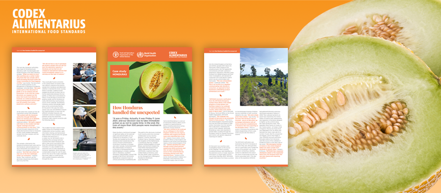 How Codex supports countries to manage the unexpected 