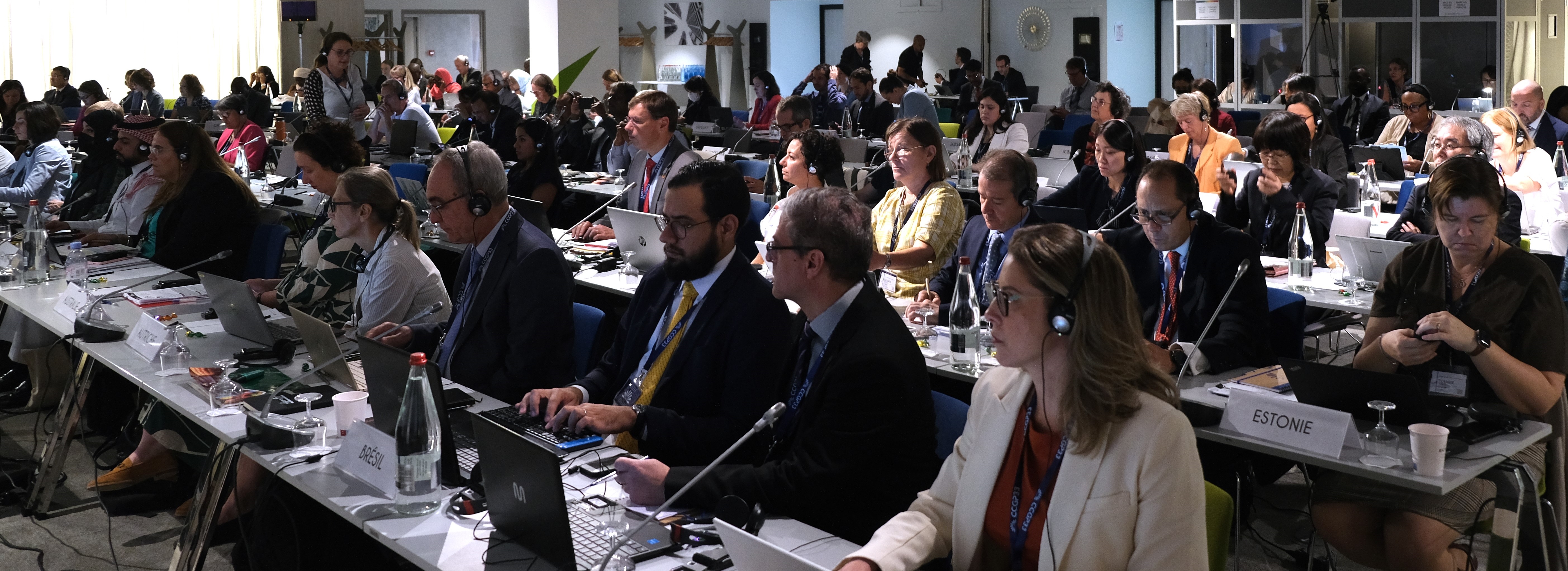 CCGP33 / Looking at the future of Codex Procedural Manual