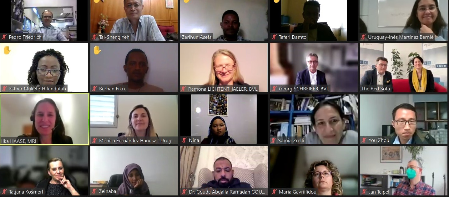 International Training for Safer Food - ITS Food Online 2023