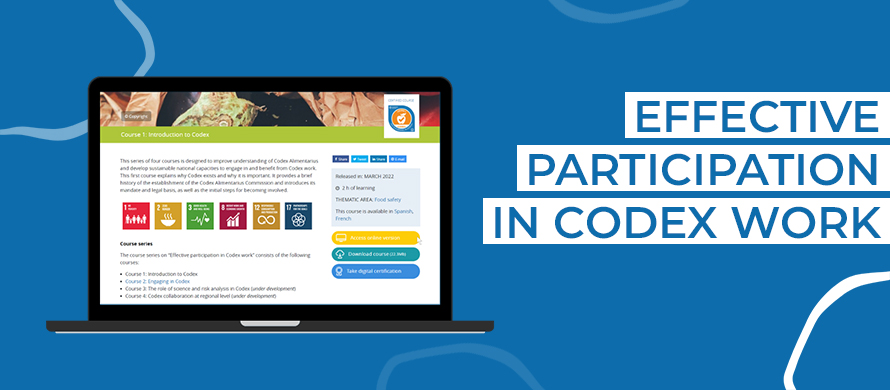 New eLearning course: Master the foundations of Codex on any digital device