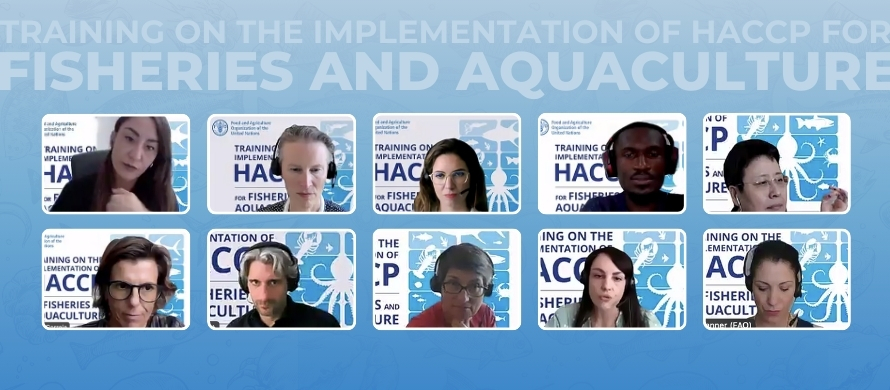 Importance of GHP and HACCP for fisheries and aquaculture showcased at FAO virtual training event