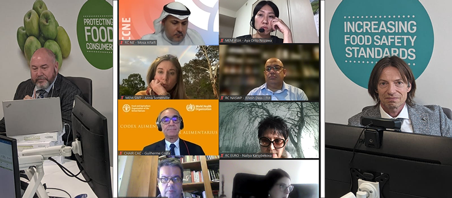 CCEXEC / sub-committee on strategic planning holds virtual session