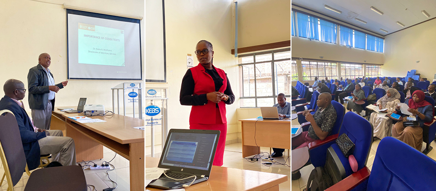 Kenyan workshop engages all stakeholder groups on the value of Codex texts