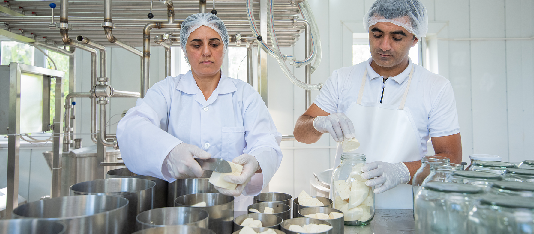 World Dairy Summit to hear about Codex Guidelines on E. coli